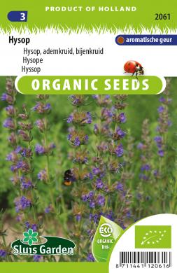 Hyssop BIO (Hyssopus officinalis) 220 seeds